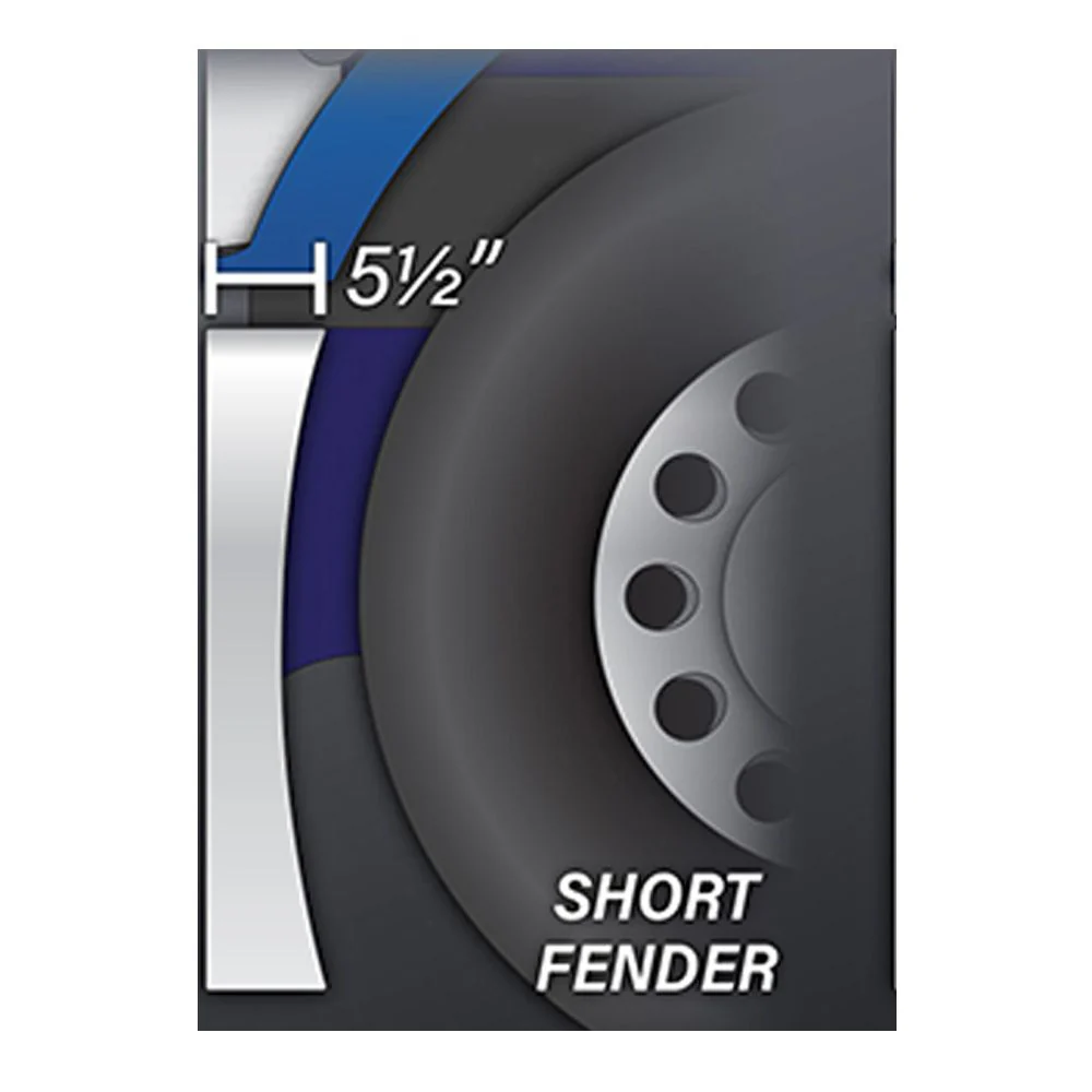 20" Eagle Roll Short Fender Stainless Steel with Light and License Cutout Bumper - Image 4