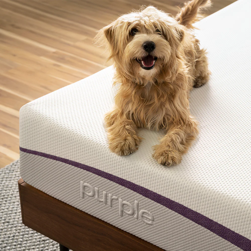 38" x 80" x 11" Purple Plus Mattress - Image 6