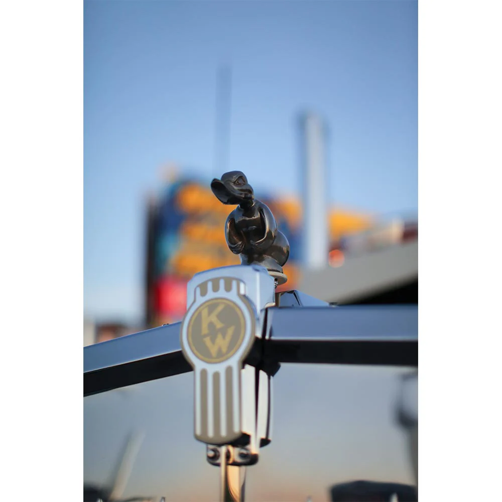 Black Rubber Duck Hood Ornament - Image 3