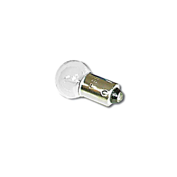 Clear Glass 67 Light Bulb
