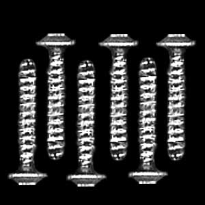 Freightliner Chrome Dash Screws 6PK