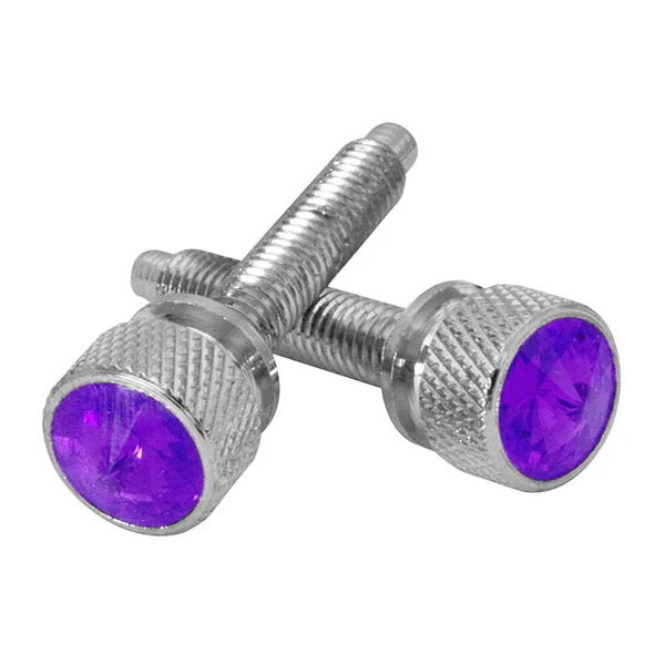 Kenworth Chrome Dash Screws with Crystal PR - Image 3