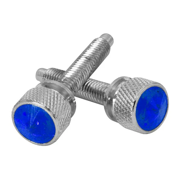 Kenworth Chrome Dash Screws with Crystal PR - Image 4