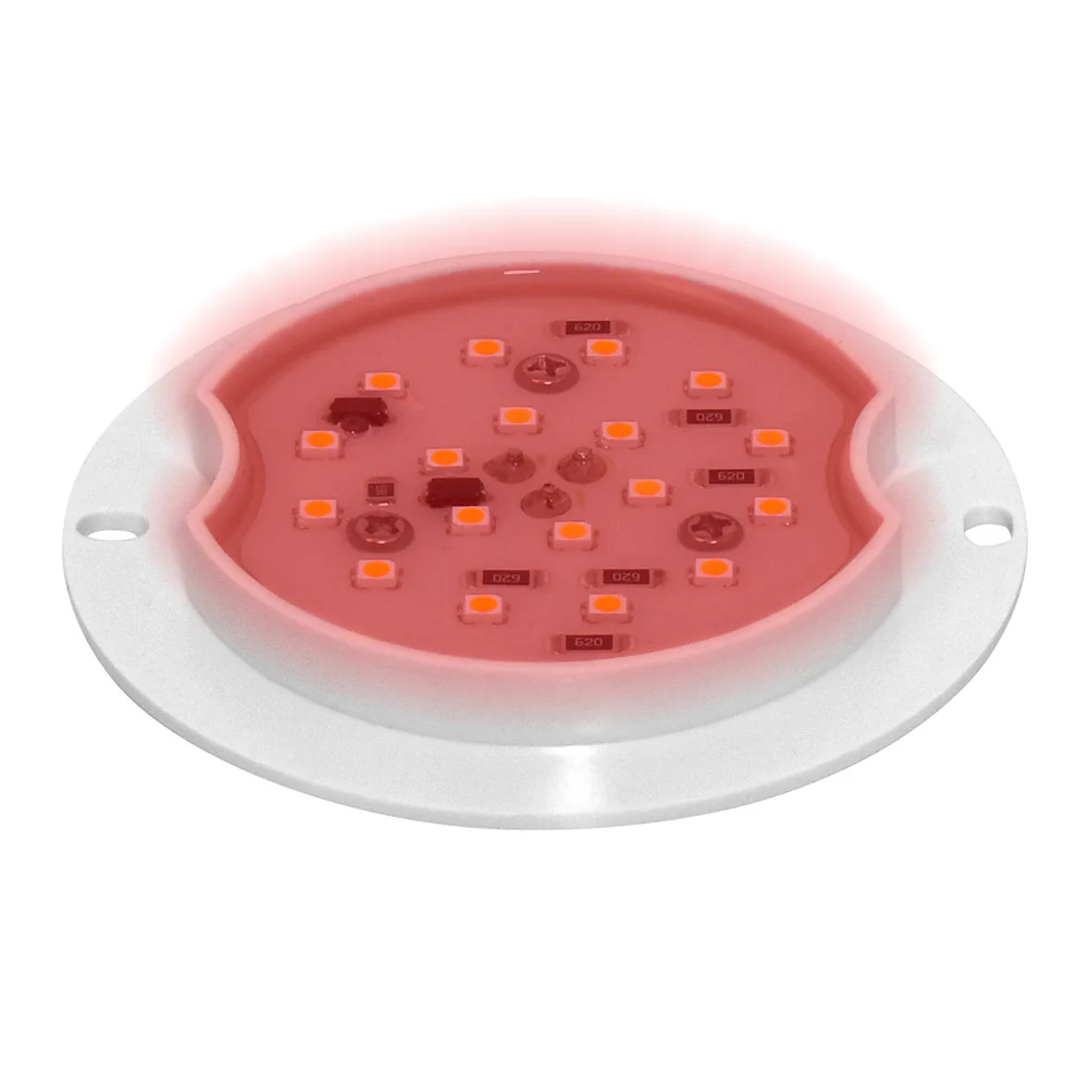 LED Watermelon Glass Lens Base - Image 4