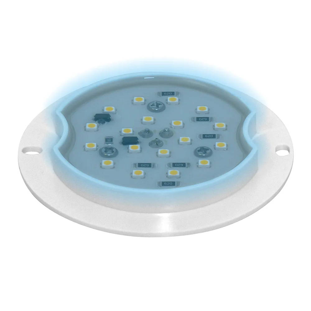 LED Watermelon Glass Lens Base - Image 6