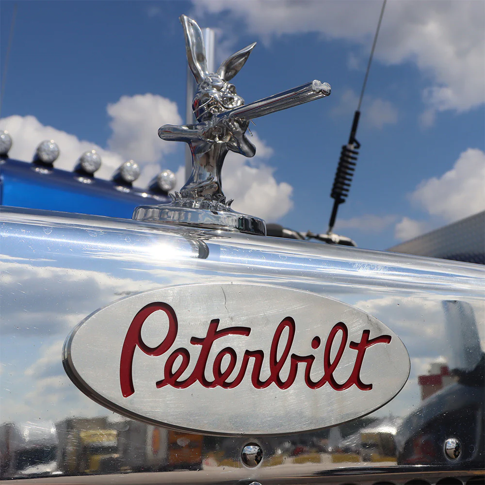 Rascally Rabbit Hood Ornament - Image 6