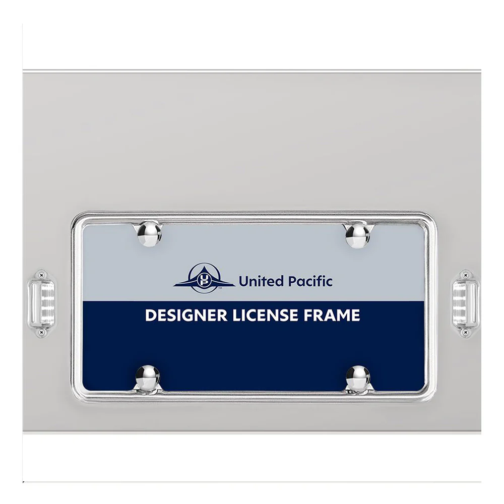 Stainless Steel Center Panel with 4" Red Abyss 13 LED with Black Grommet, License Frame and LED Light - Image 5